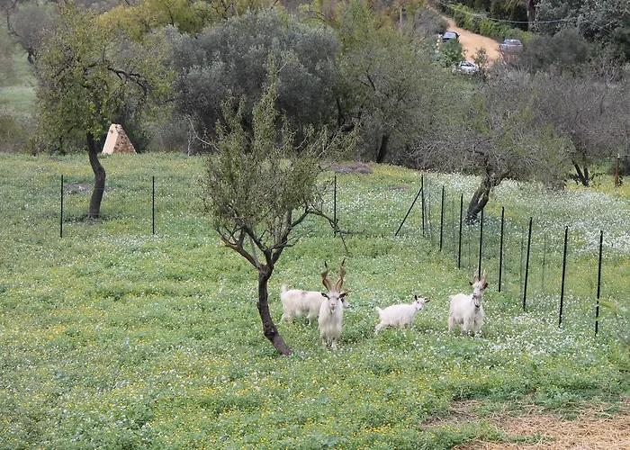 Villa San Leone Home
