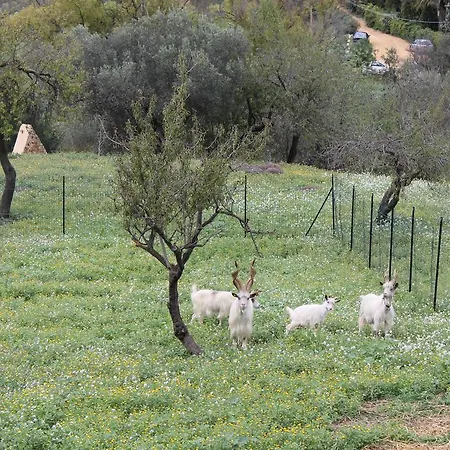 Villa San Leone Home